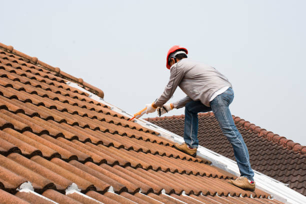 Best Asphalt Shingles Roofing  in Selma, TX
